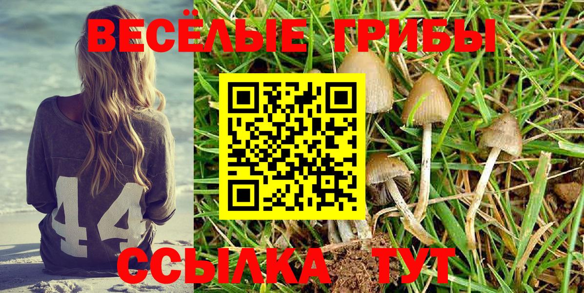 Псилоцибиновые грибы Magic Shrooms Прохладный