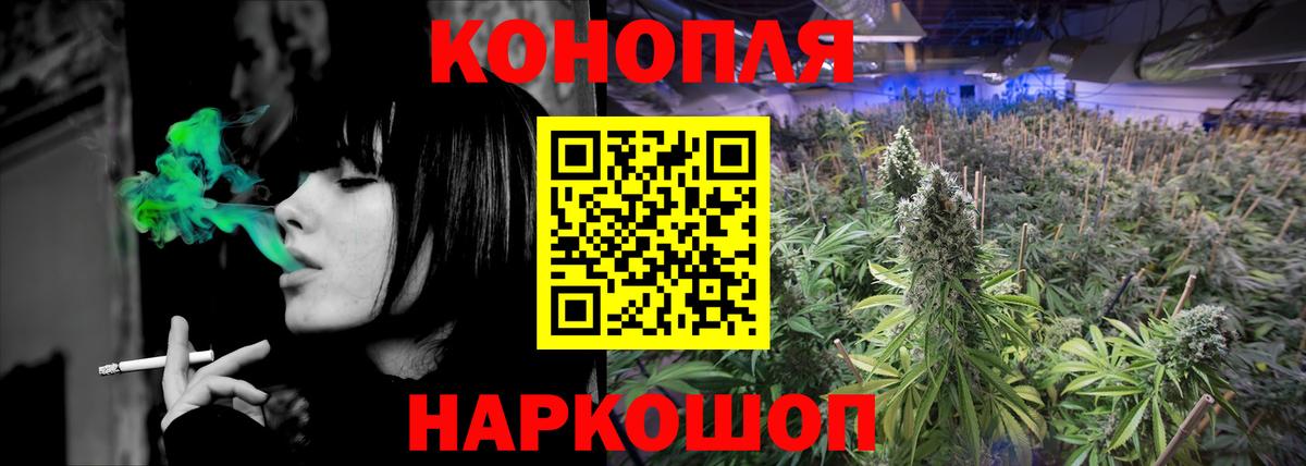 Бошки Шишки план Прохладный